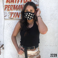 Load image into Gallery viewer, Vintage Stars Mask